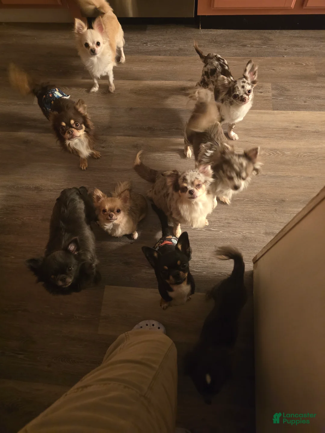 Gallery Image {{count}}