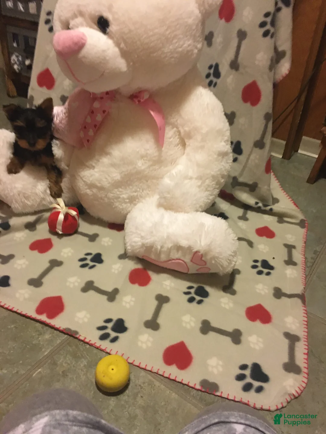 Gallery Image {{count}}