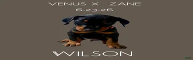 Wilson