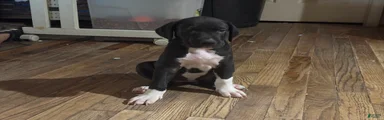 Baby 3