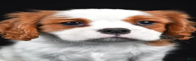 Theodore