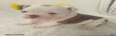 Sally