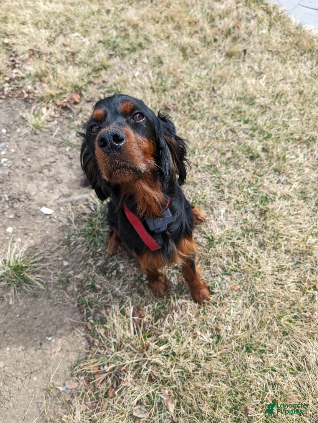 Gallery Image {{count}}