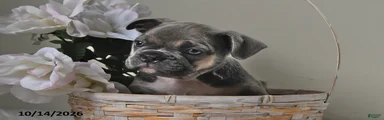 Buster