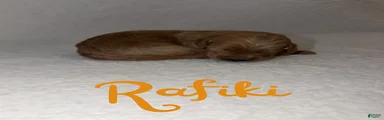 Rafiki