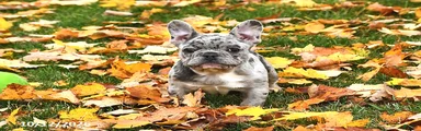 Winnie