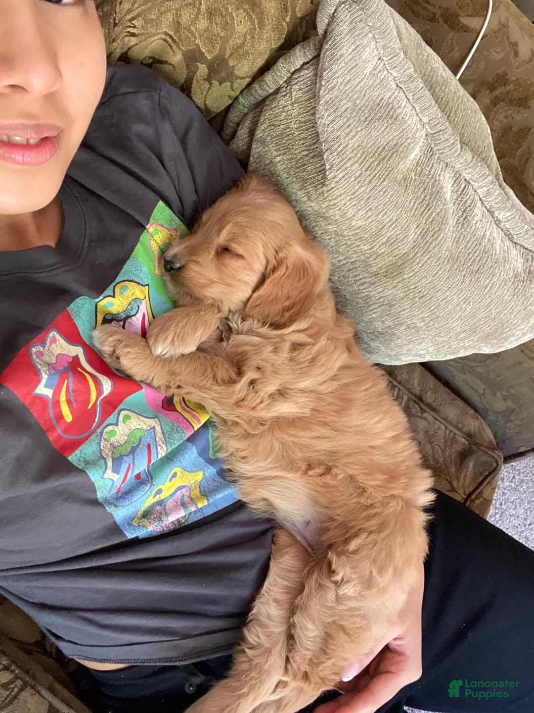 Gallery Image {{count}}