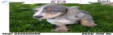 Kya