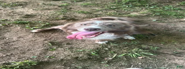 Jericho