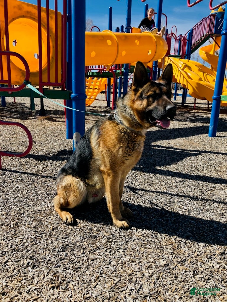 Rex