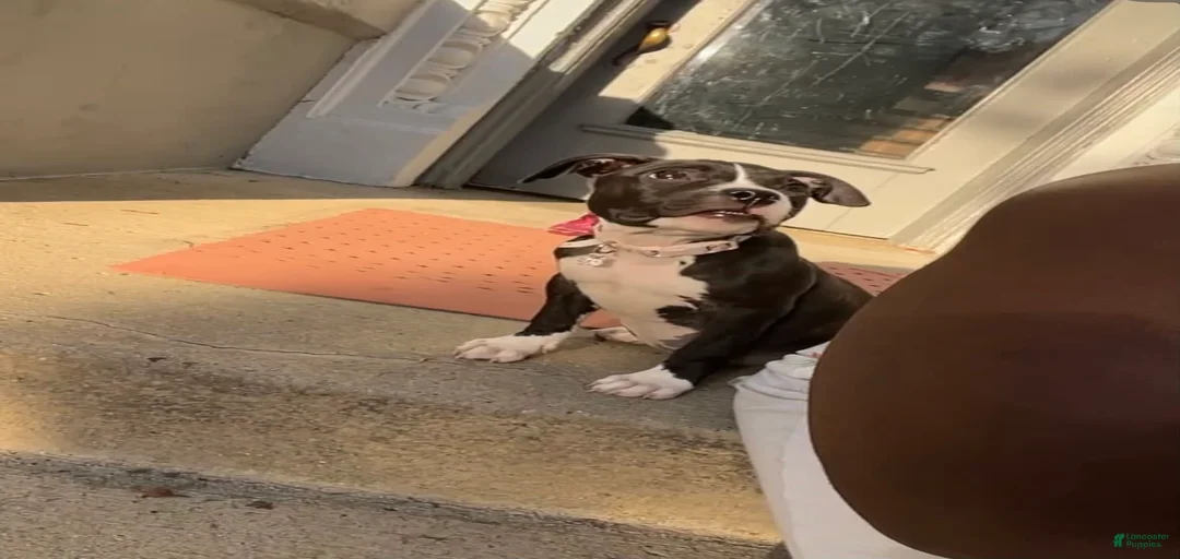 Gallery Image {{count}}