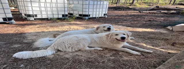 Jake and Jill