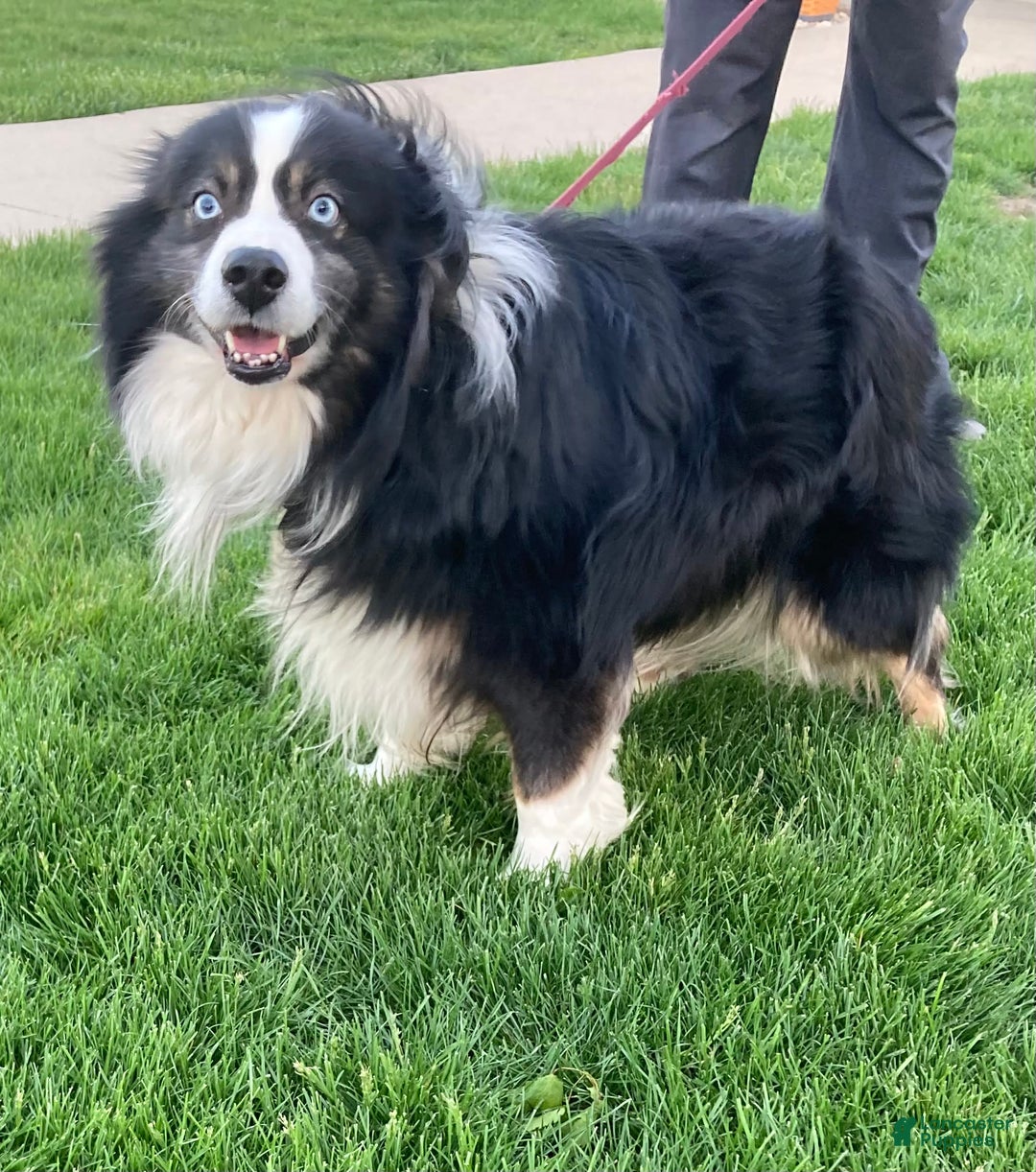 Gallery Image {{count}}