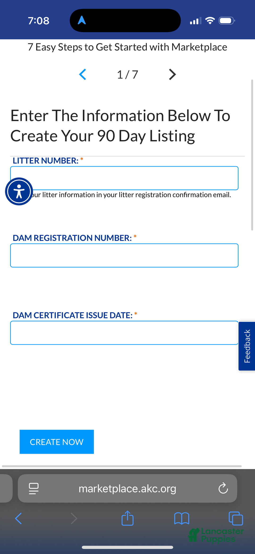 English Bulldog dogs for sale: Otto - Ad 9