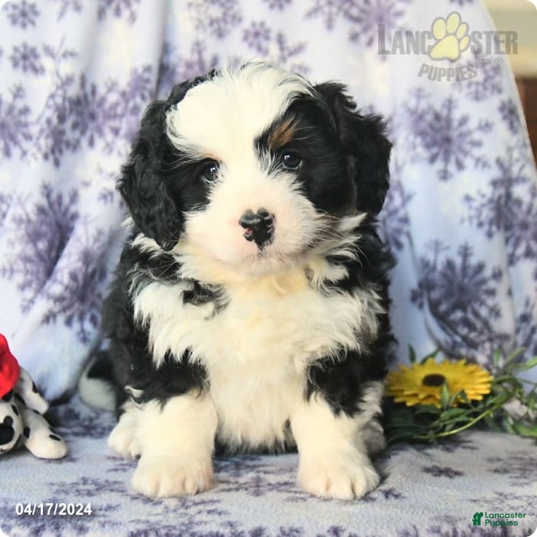 Gallery Image {{count}}