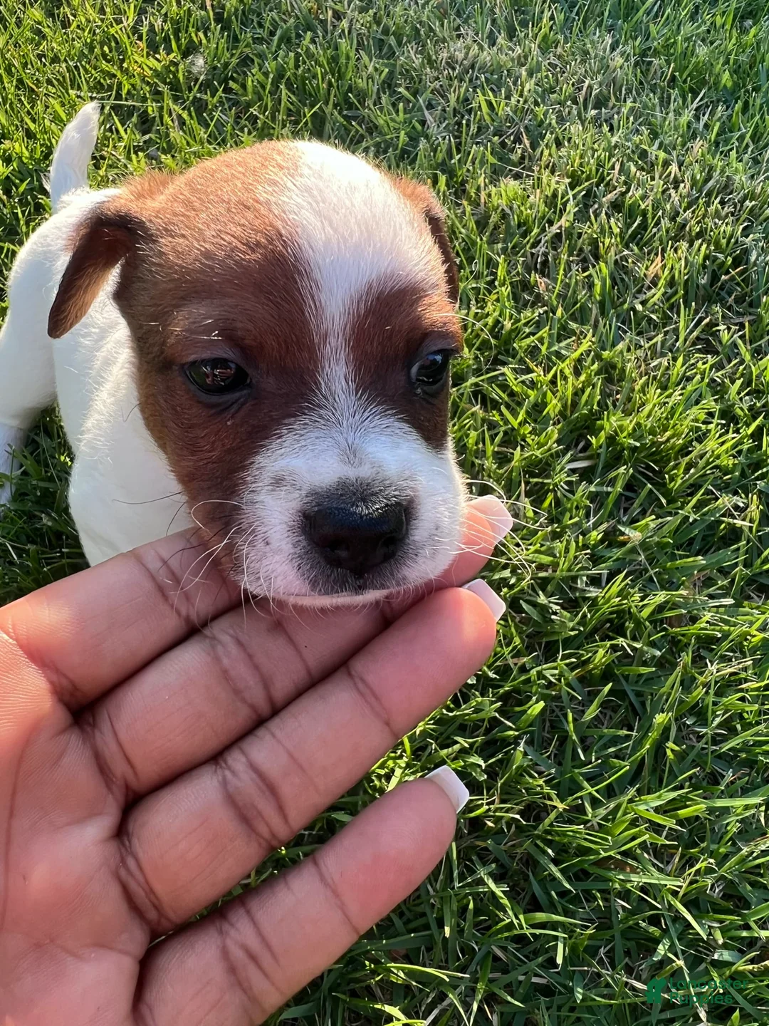 Gallery Image {{count}}