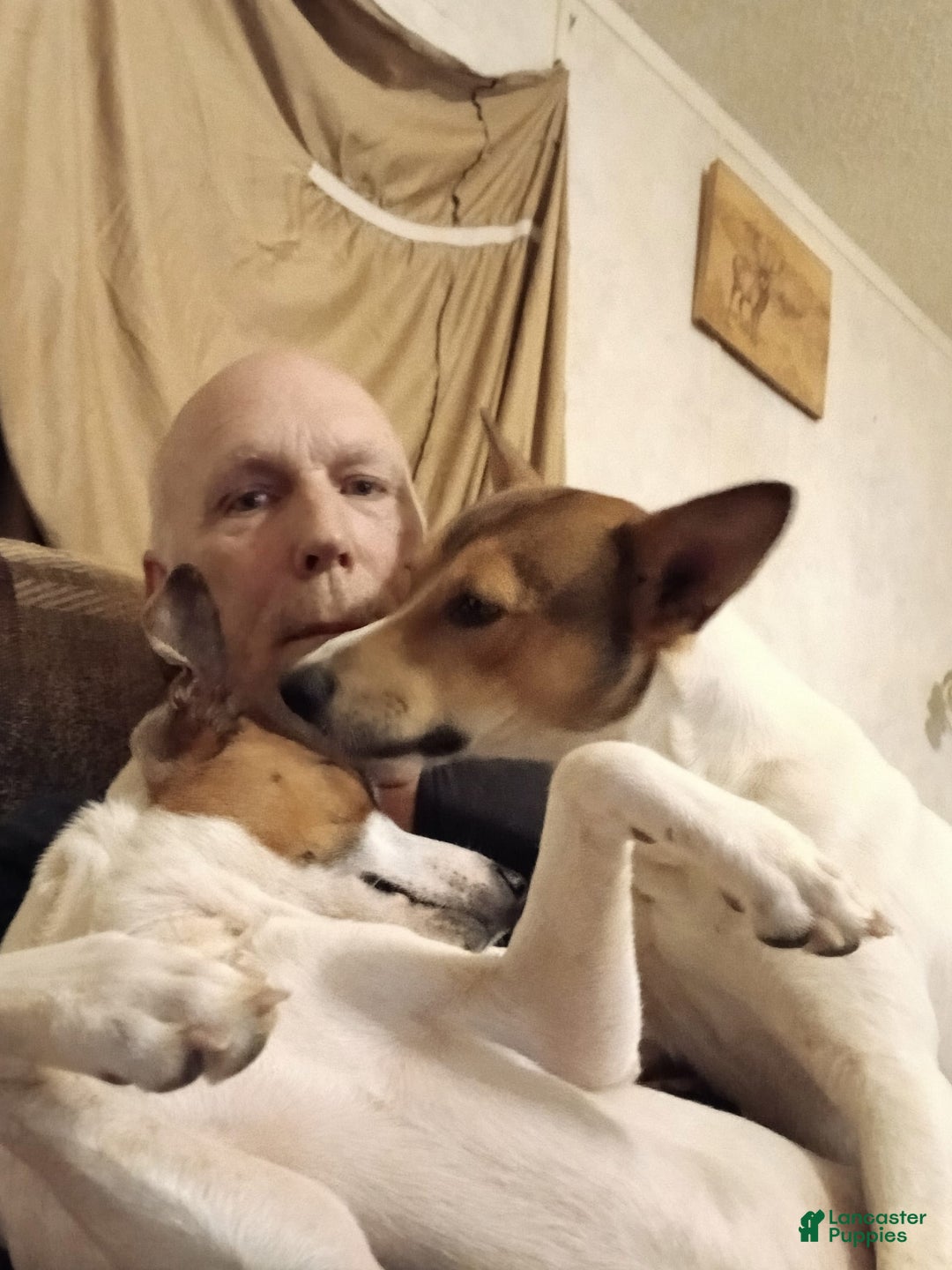 Gallery Image {{count}}