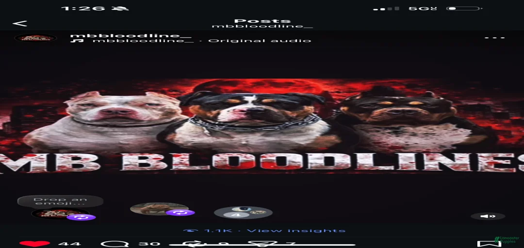 Gallery Image {{count}}