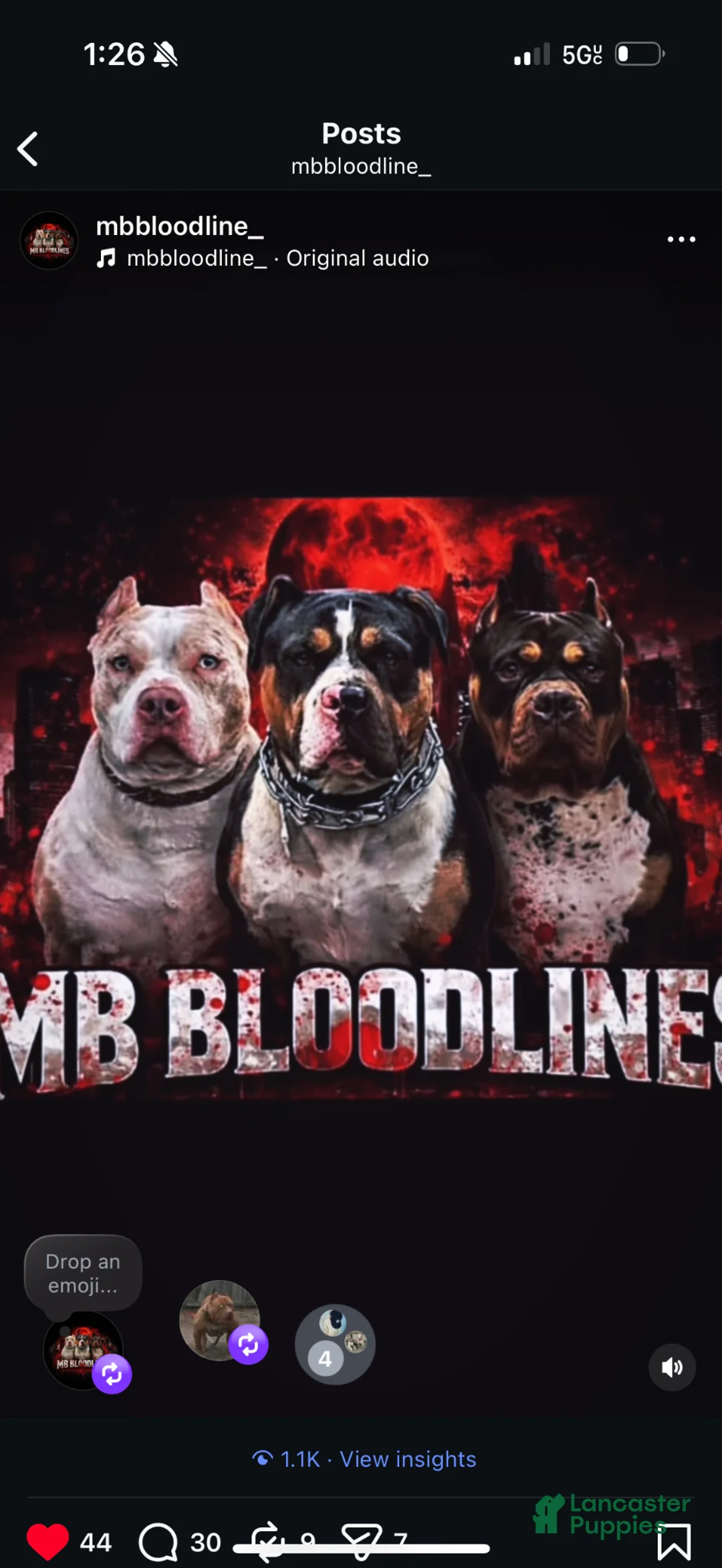 Gallery Image {{count}}