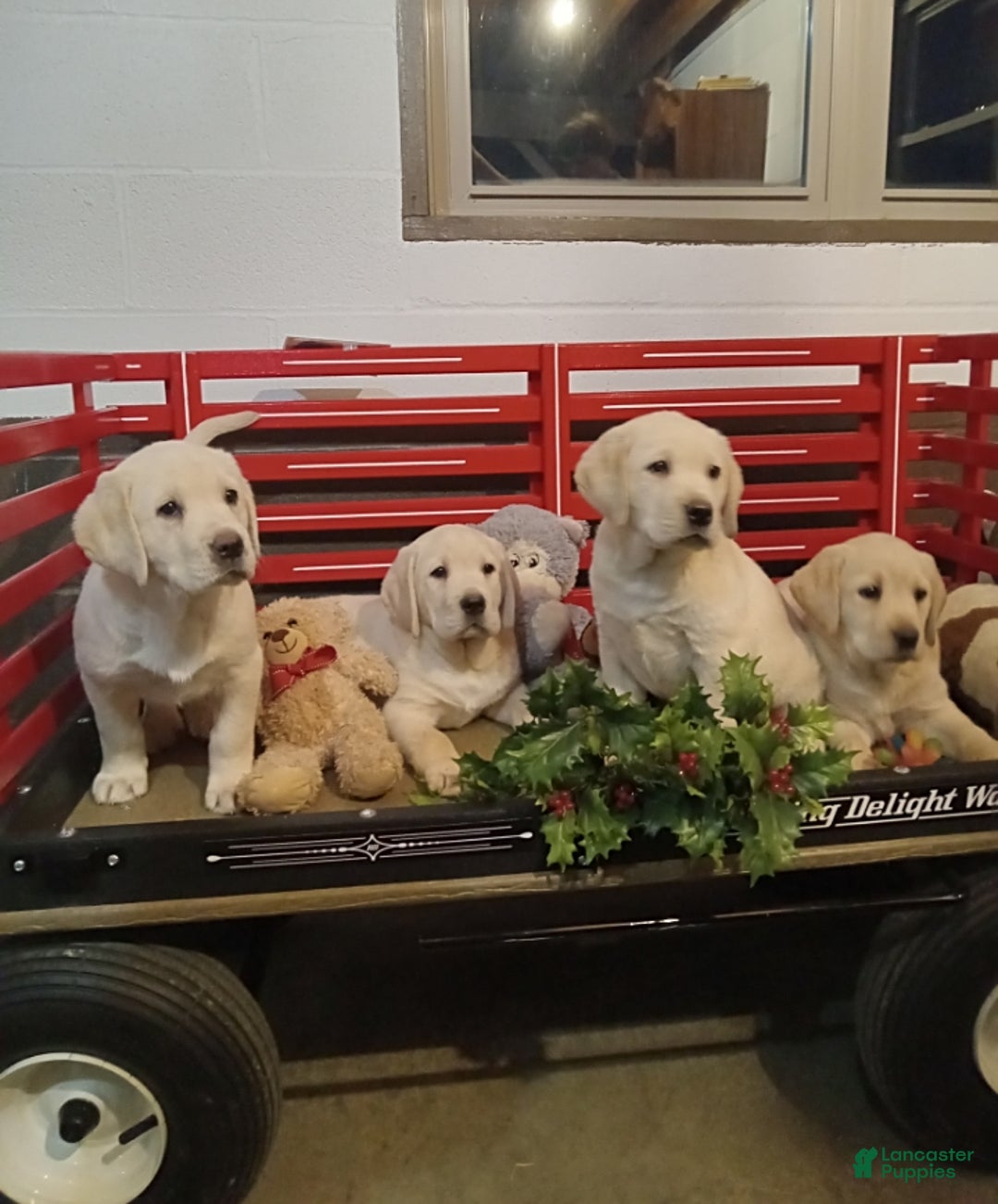 Gallery Image {{count}}