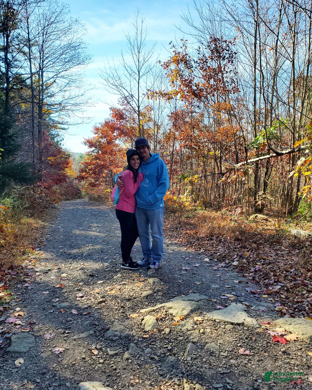 Gallery Image {{count}}