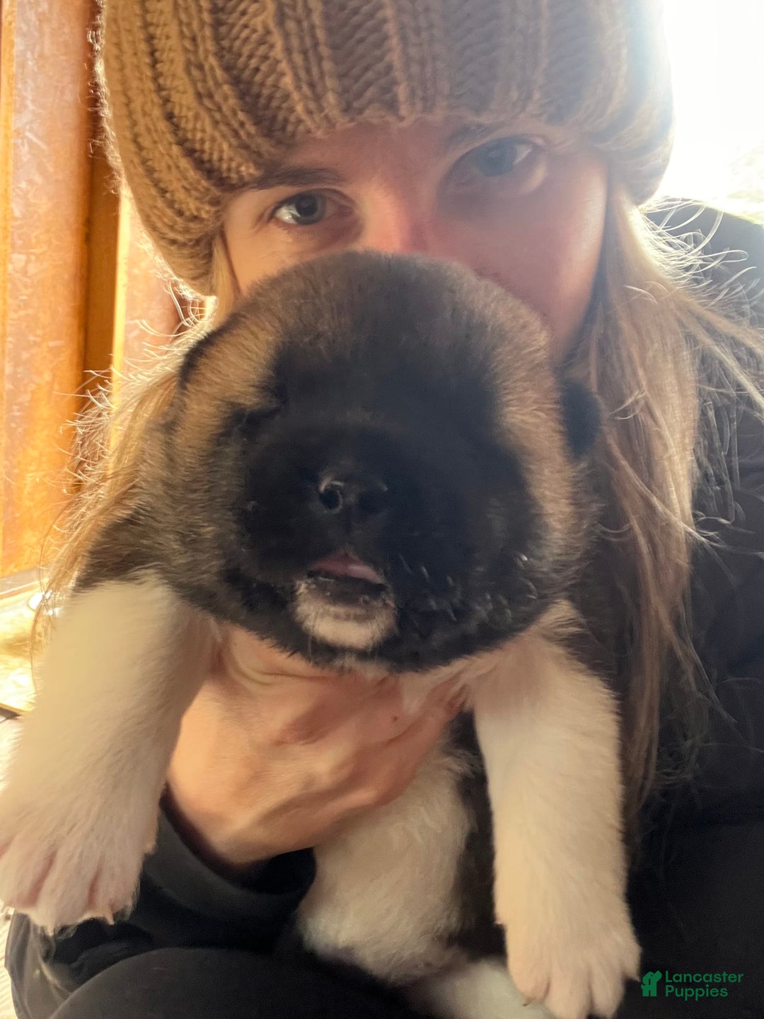 Gallery Image {{count}}