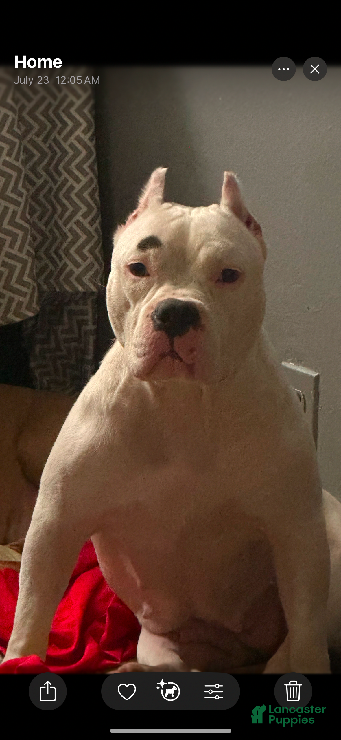 Beauty jones