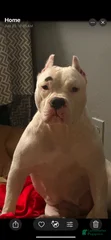 Beauty jones