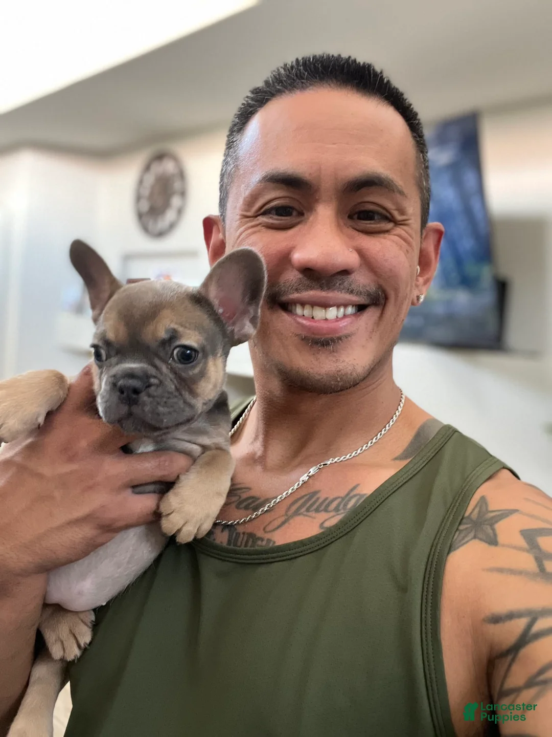 Gallery Image {{count}}