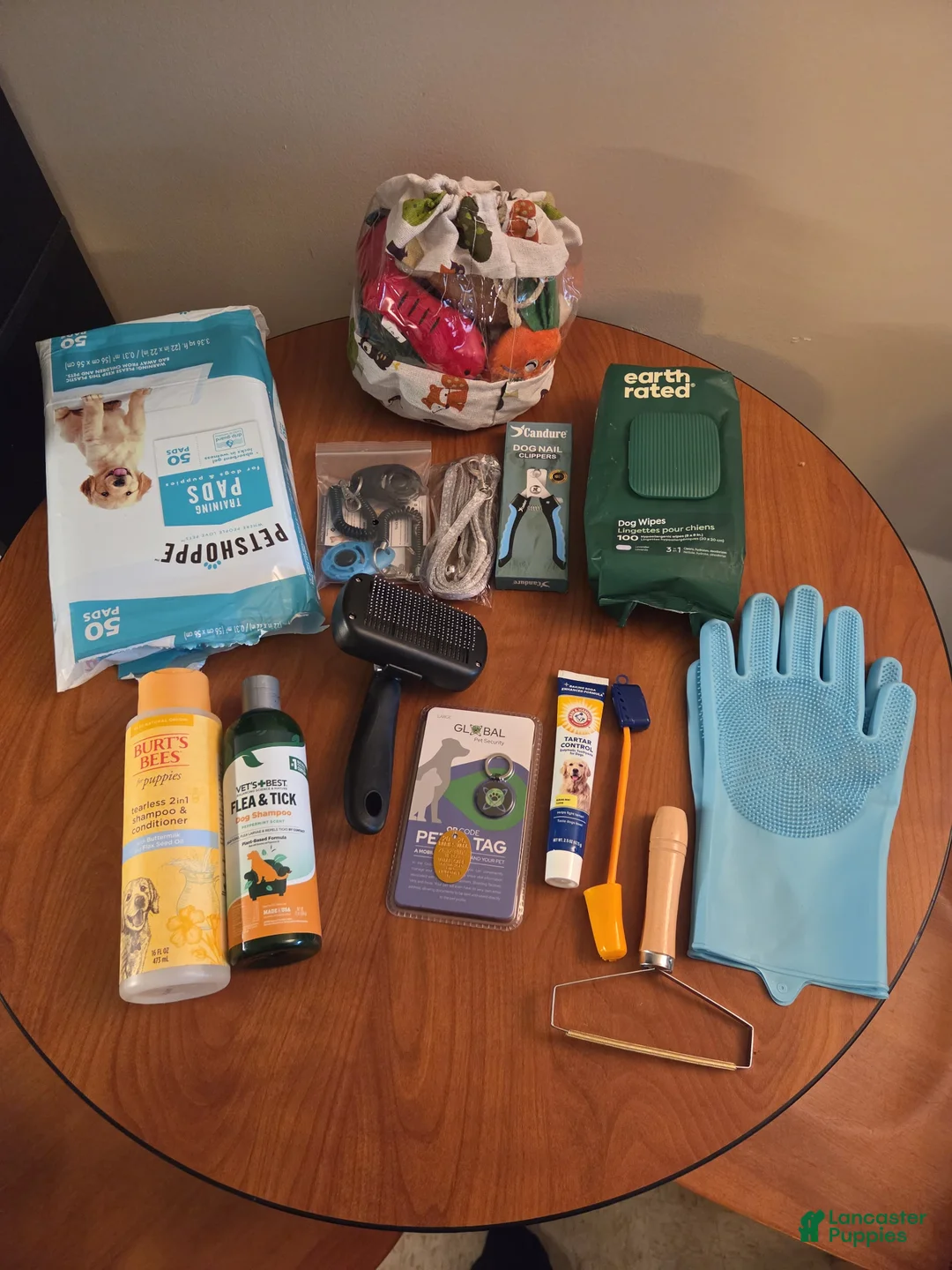 Mixed Breed dogs for sale: Hope - Ad 9