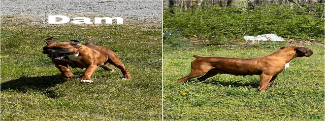 Ruby