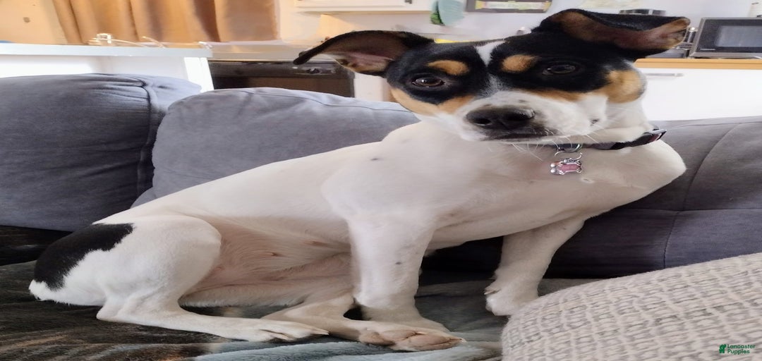 Gallery Image {{count}}