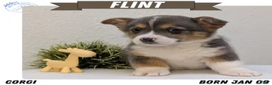 Flint