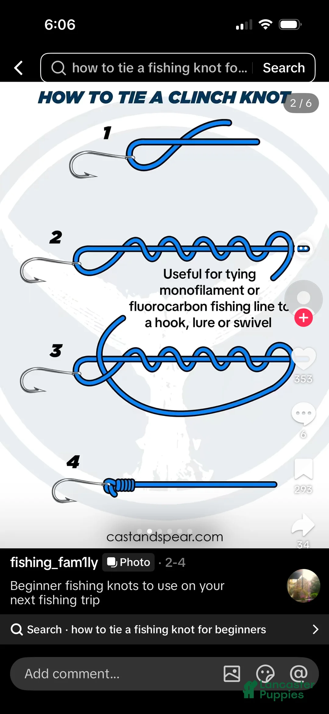 Boxer dogs for sale: Athena  - Ad 3