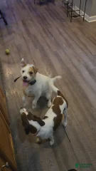 Lucky