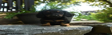 Cinder