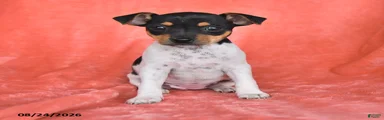 Fiona