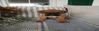 Tanker