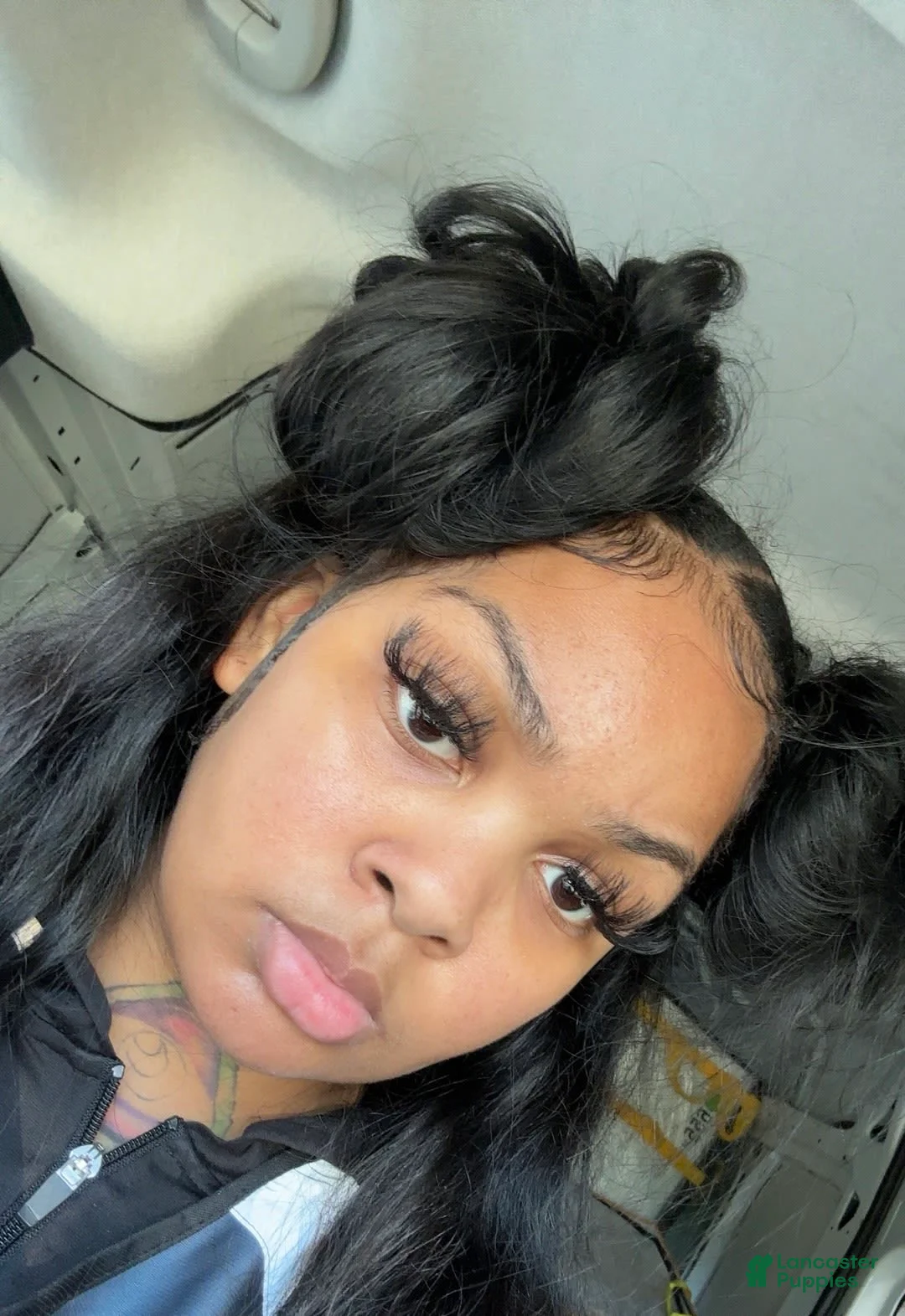 Gallery Image {{count}}