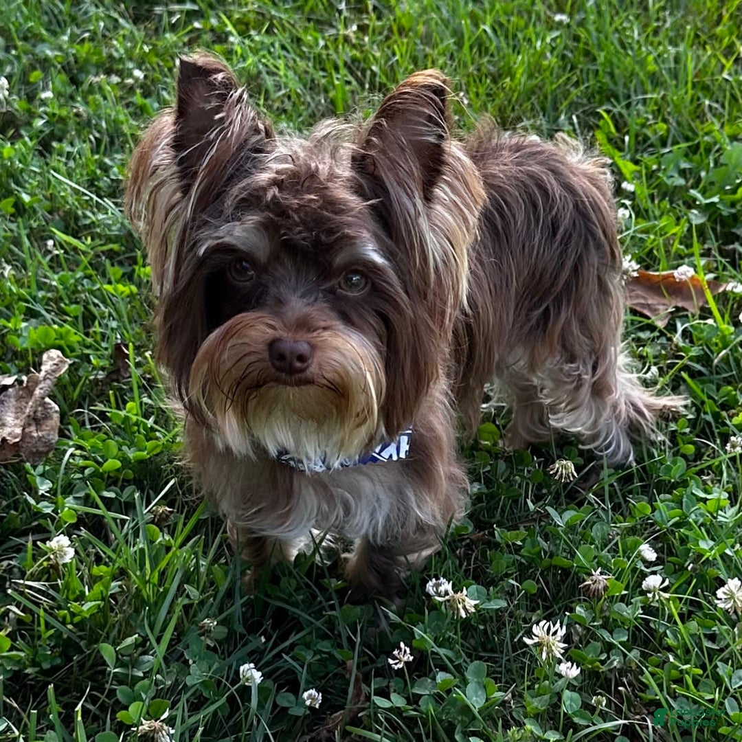 Gallery Image {{count}}