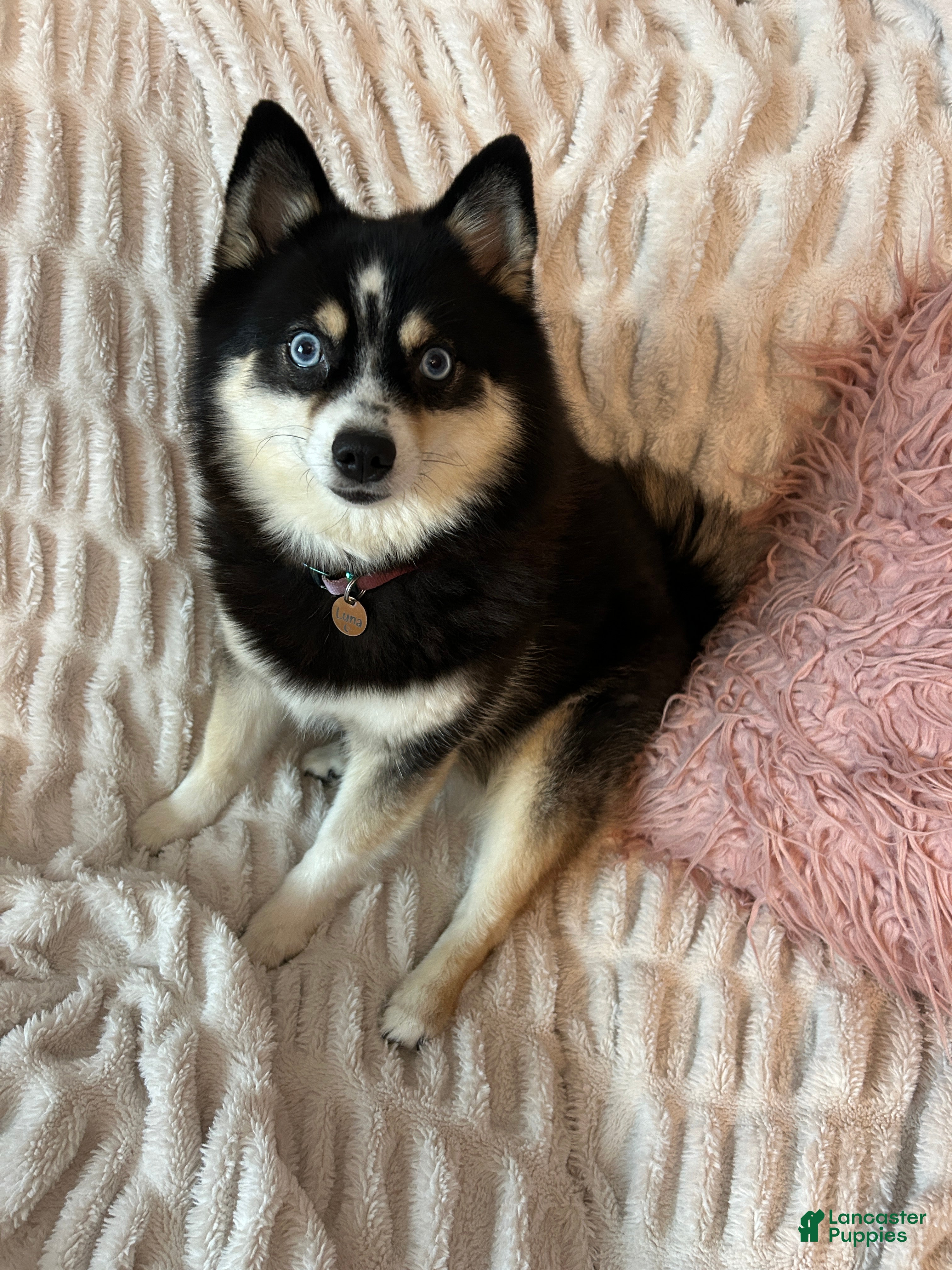 Luna