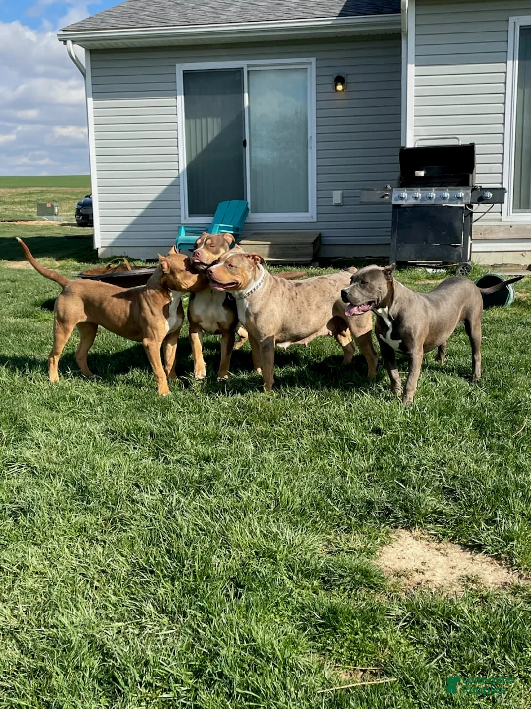 Gallery Image {{count}}