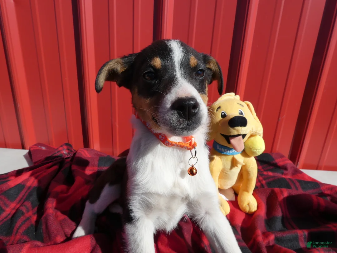 Gallery Image {{count}}