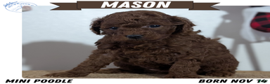 Mason