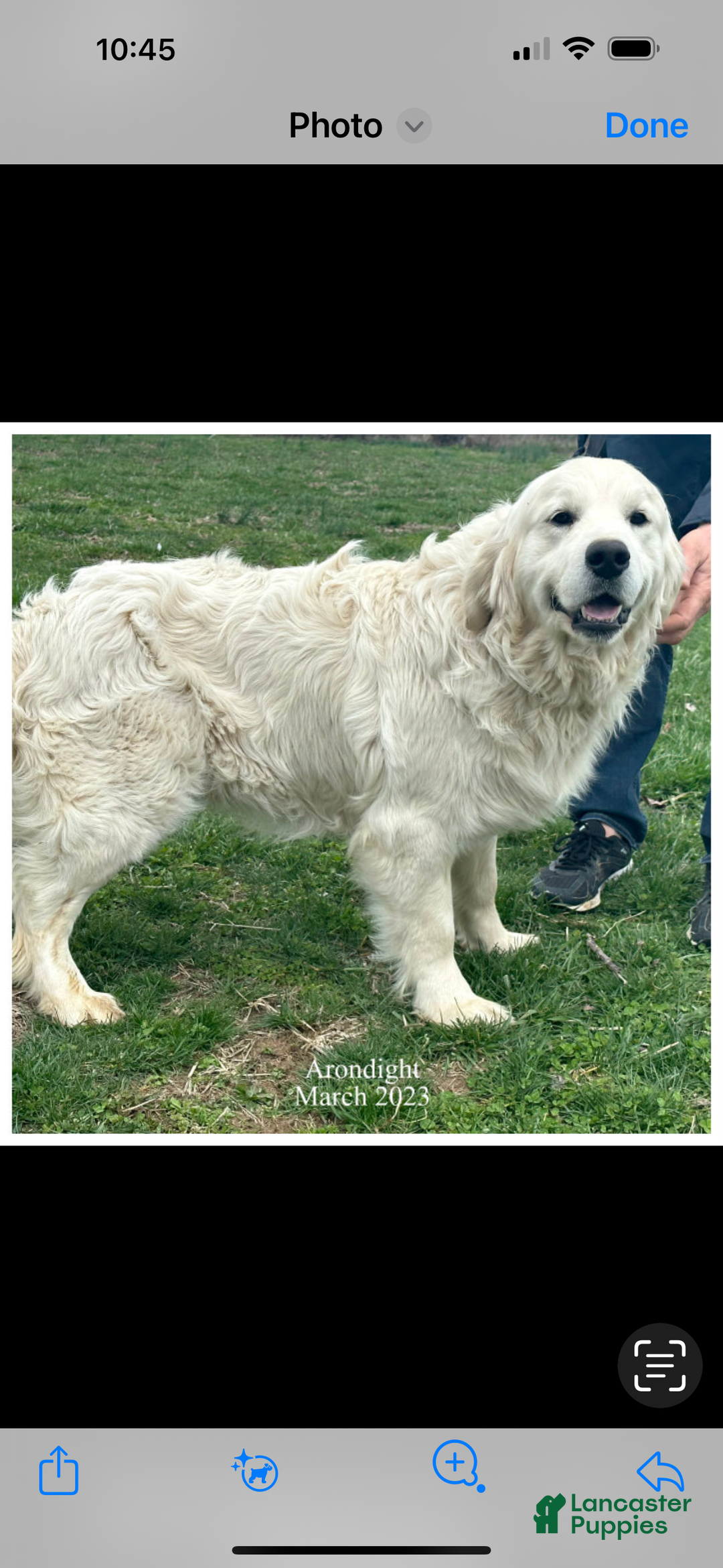 Gallery Image {{count}}