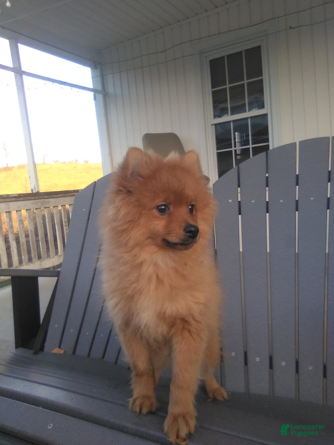 Gallery Image {{count}}