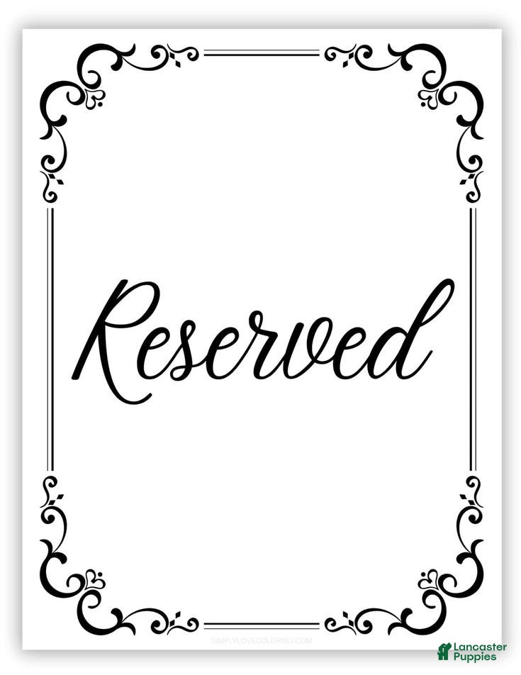 Mixed Breed dogs Mouse 💙 - Ad 16