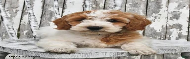 Sally