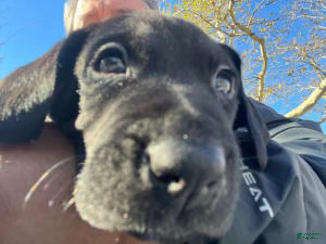 Gallery Image {{count}}