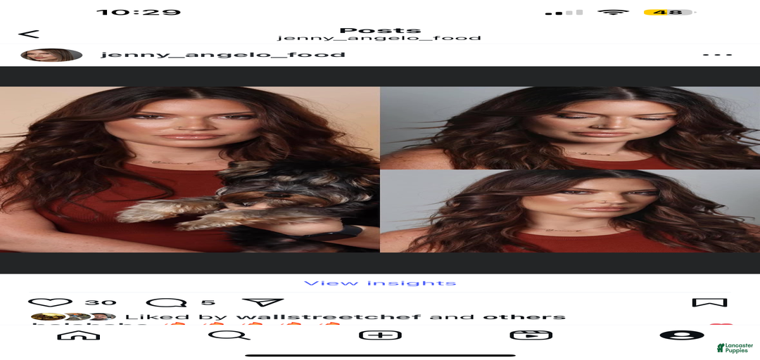 Gallery Image {{count}}